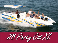28 Paty Cat XL